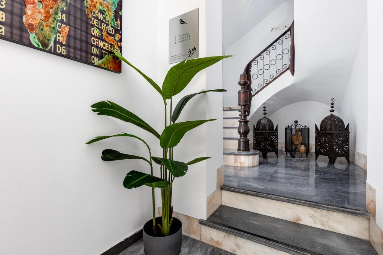 אליקאנטה Pinzon Studios & Penthouse מראה חיצוני תמונה